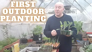 First Outdoor Plantings [Gardening Allotment UK] [Grow Vegetables At Home ]