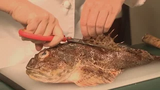 How to Cook Sculpin