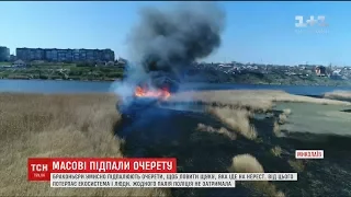 На Миколаївщині згоріло 45 гектарів очерету