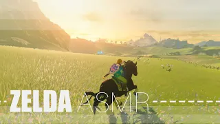 ASMR botw no commentary, no fight, no music, just ambience part 5