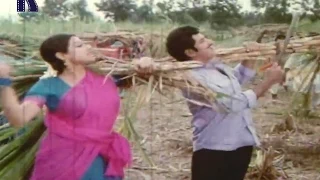 Jayam Manade Movie Video Songs - Title Song - Krishna, Sri devi