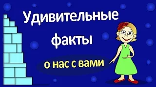 ИНТЕРЕСНЫЕ ФАКТЫ  о нас с вами !!!