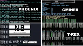 Какой майнер самый лучший для Ethereum | Тест GTX 1660Ti на T-Rex, Phoenix, Nbminer, Gminer