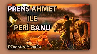 PRENS AHMET İLE PERİ BANU MASALI-Büyüklere Masallar-Masal Dinle-Masal-Uyku Masalı-Peri Mia Masalları