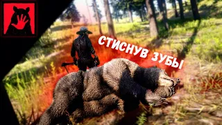 Трофей "Стиснув зубы" - Red Dead Redemption 2