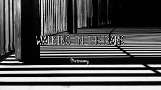 Metronomy - Walking In The Dark (Lyrics)