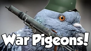 WAR PIGEONS! (Battlefield 1 War Pigeons)