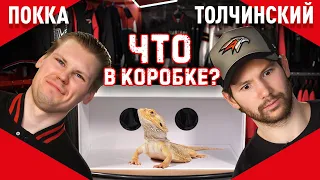 ОНО ЖИВОЕ! | Сергей Толчинский VS Вилле Покка | ЧТО В КОРОБКЕ? #3 | Авангард