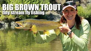 Fly Fishing HUGE BROWN TROUT in tiny water. The art of hunting brown trout EPIC. Part 2