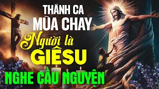 Thánh Ca Cầu Nguyện Mùa Chay - Ăn Năn Sám Hối Trở Về Bên Chúa - Nhạc Thánh Ca Hồng Ân