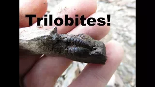 Fossil Hunting for Trilobites