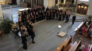 Ich bin das Brot des Lebens, Schweizer Jugendchor 2011, Konzert Ruswil