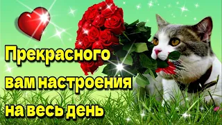 💗🌈Доброго утра , благословенного дня!💗🌞Красивое музыкальная открытка💗