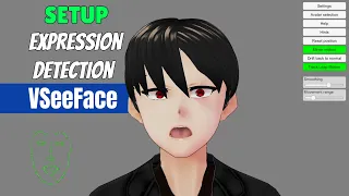 Expression Detection VSeeFace Tutorial - 03  - How to Be a VTuber - Tutorial