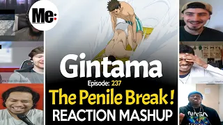 The Penile Break! | Gintama 銀魂 Episode 237 | REACTION MASHUP