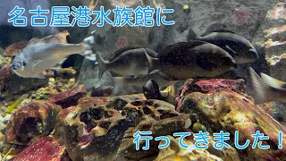 名古屋港水族館に行ってきました！