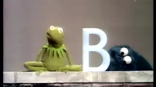 Kermit der Frosch und Krümelmonster - Buchstaben (Sesamstrasse)