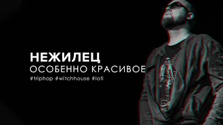 @NEZHILETZ - Особенно Красивое [Especially Beautiful] (2022) [trip hop / witch house]