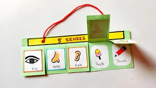 Sensory organs model for school project | How to make Sense Organs | Sensor organs craft model