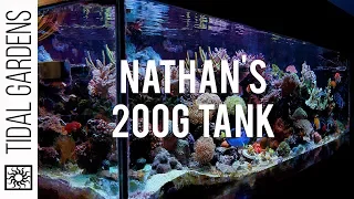 Field trip to Nathan's Reef Tank
