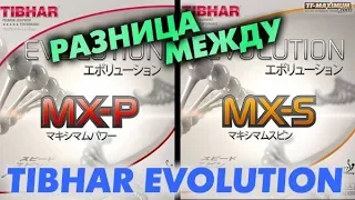 compare TIBHAR Evolution MX-S and Evolution MX-P short test