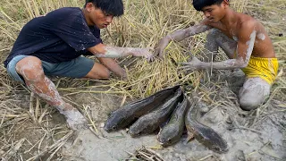 amazing fishing! a fisherman skill catch fish and crabs, snails a lots at dry place by best hand
