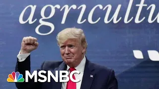 Majority Says Senate Should Vote To Convict, Remove President Donald Trump | Morning Joe | MSNBC