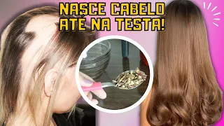 O CABELO CRESCE LOUCAMENTE e NÃO CAI! 1 INGREDIENTE PODEROSO PARA CRESCIMENTO EXTREMO DO CABELO!