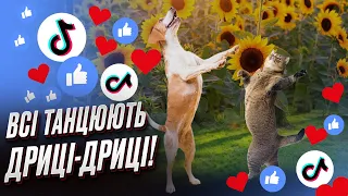 🥰🐶🐱 Гопці-дриці новий тренд порвав мережу: а ви вже танцювали?