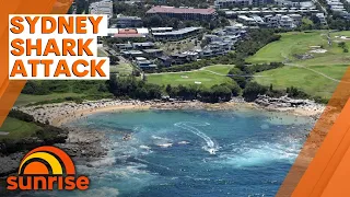 Chilling details emerge after Sydney’s first fatal shark attack in 60 years | 7NEWS