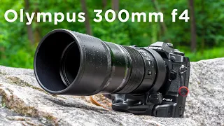 Olympus 300mm f4 - LIGHT and SHARP!