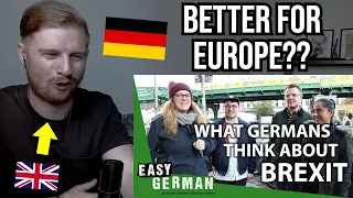 Reaction To What Germans Think About Brexit