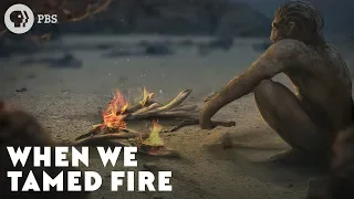 When We Tamed Fire