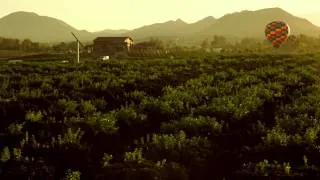 WineCountryFreedom.com Commercial 0:31