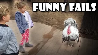 Funny Fails Compilation - Funny fails November 2018