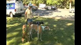 Bonnie's Greyhounds Alex Ava Bea 8-25-2012