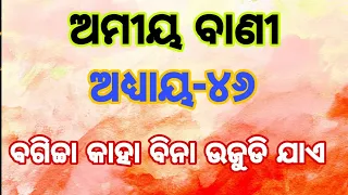 ବଗିଚ୍ଚା କାହା ବିନା ଉଜୁଡି ଯାଏ । Amiya Bani part 146। Odia Sadhu Bani । #Ajiraanuchinta