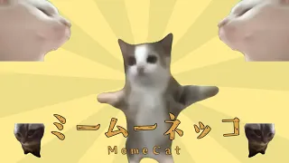 Meme-Cat【YTPMV】