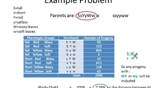 Genetics - Tutorial Calculating Genetic Distances 3 point linkage mapping