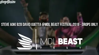 Steve Aoki B2B David Guetta @MDL Beast Festival 2019 - Drops Only