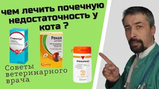 Препараты от ХПН кошек