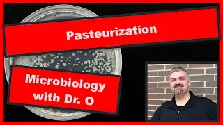 Pasteurization:  Microbiology