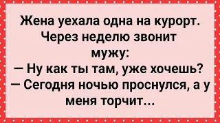 Муж Проснулся, А У Него Торчит! Сборник Свежих Анекдотов! Юмор!