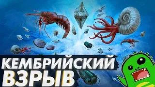 Жизнь и смерть первых многоклеточных: Кембрийский взрыв, мышцы, мозг, ноги и цефализация