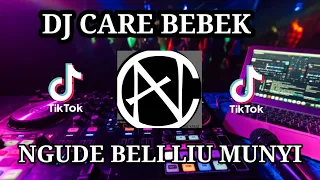 DJ CARE BEBEK REMIX FULL BASS TIKTOK VIRAL 2022 NGUDE BELI LIU MUNYI