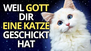 😺 Entdecke die SPIRITUALITÄT DER KATZEN | Warum hat GOTT dich mit ihrer Anwesenheit GESSEGNET? 😇🙏