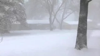 Bowling Green, KY Heavy Snow Continues 1/22/2016