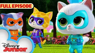 SuperKitties First Full Episode! | Get the Boot | S1 E1 Part 2 | @disneyjunior