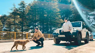 Gangotri 2024 Darshan | Harsil Valley | Bagori | Lama Top | Roadtrip to Uttarakhand