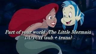 The Little Mermaid Part of your world Dutch (sub + Trans)